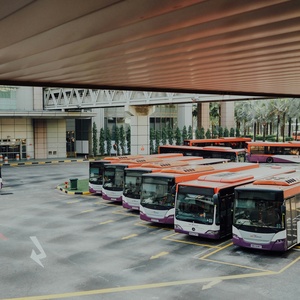 Camion &amp; Bus